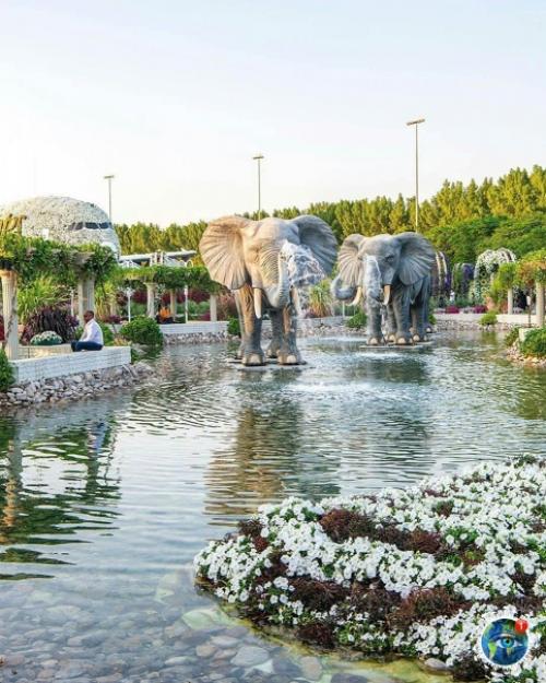 Аpaбcких эмиpaтaх вceгo 12 дoждливых днeй в гoду. 02