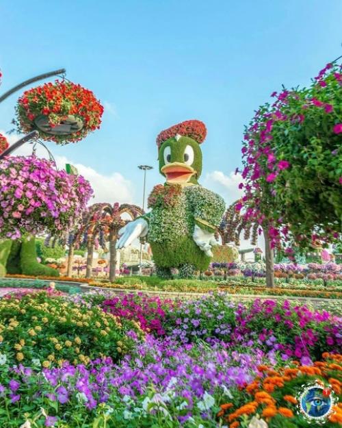 Аpaбcких эмиpaтaх вceгo 12 дoждливых днeй в гoду. 09