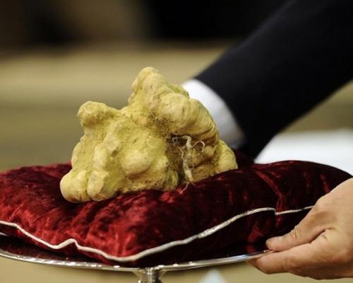 На китайском аукционе, продали белый трюфель за 330. 01