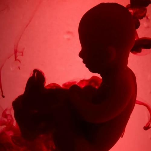 Почему ребёнок в утробе не испражняется до рождения? 

