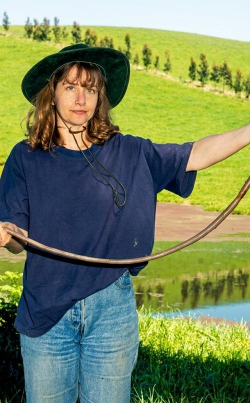 Этот вид под названием Megascolides Australis встречается лишь в небольшом районе у реки басс. 01