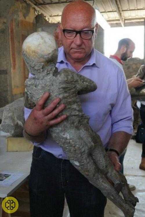 На фотографии зафиксирован пронзительный момент, от которого щемит в груди. 
