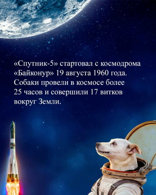 Собаки - космонавты, покорившие сердца людей. 01