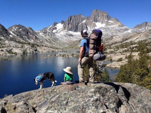 Двухлетний путешественник уже прошел около 300 миль. 04