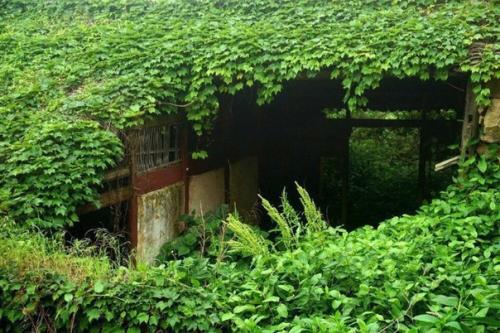 Китайский архипелаг шенгси включает в себя почти 400 островов. 03