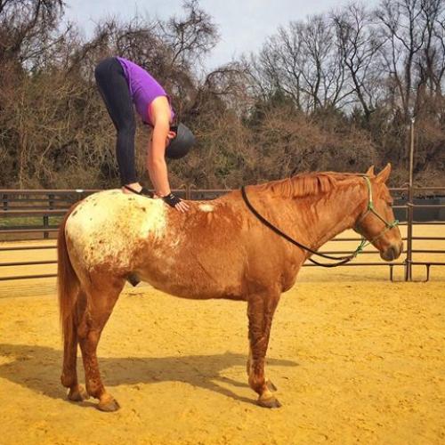 Йога верхом: что получается, когда соединяется страсть к йоге и лошадям. 09