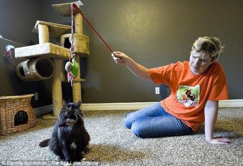 Кошка две газовые камеры пережила.