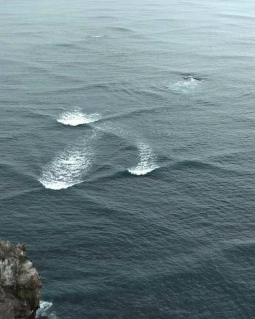 Прямоугольные волны возникают, когда волны приходят сразу с двух перпендикулярных направлений. 01