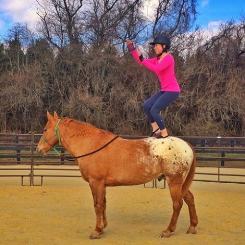 Йога верхом: что получается, когда соединяется страсть к йоге и лошадям. 05
