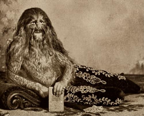 На фото - Стефан бибровски. 02