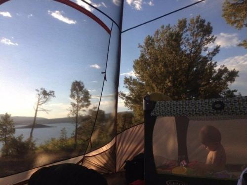 Двухлетний путешественник уже прошел около 300 миль. 02