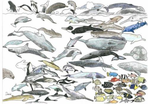 Искусство в себе: рисунки 10-летнего мальчика - аутиста Дэвида Барта. 02