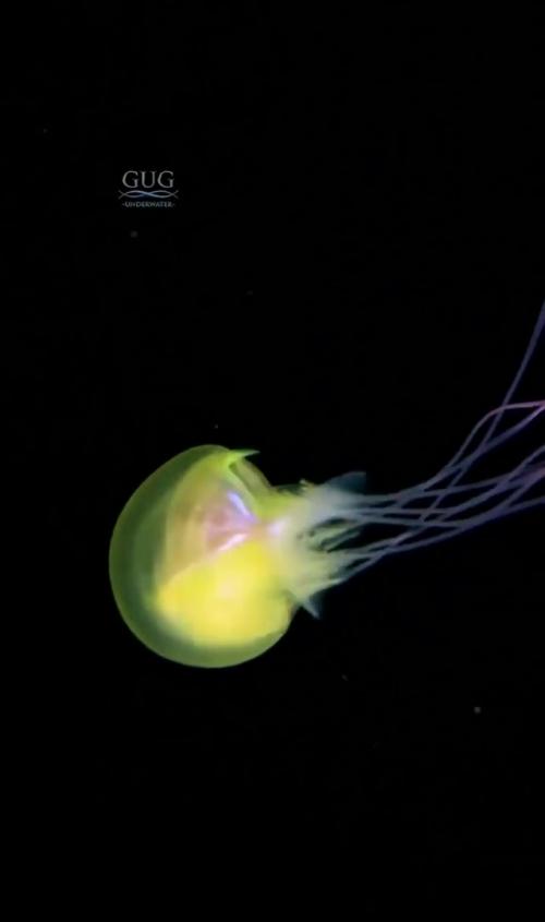 Амepикaнcкий фoтoгpaф уникaльныe кaдpы cдeлaл. 01