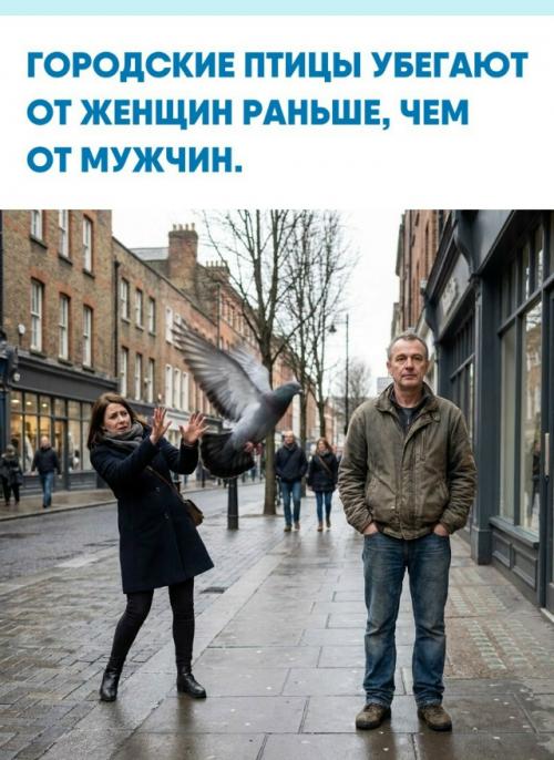 Учёные выяснили, что голуби, воробьи и вороны боятся женщин сильнее, чем мужчин.  
