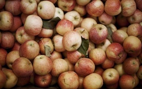 Чего не хватает организму.