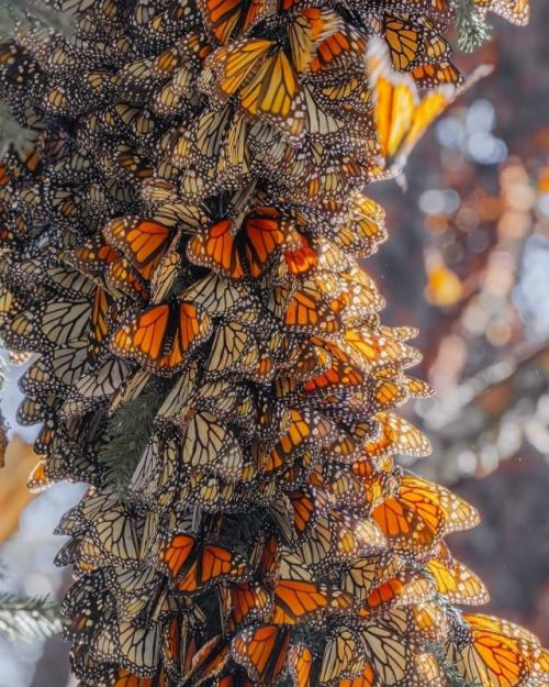 Фотограф Кристина Макеева это место 
