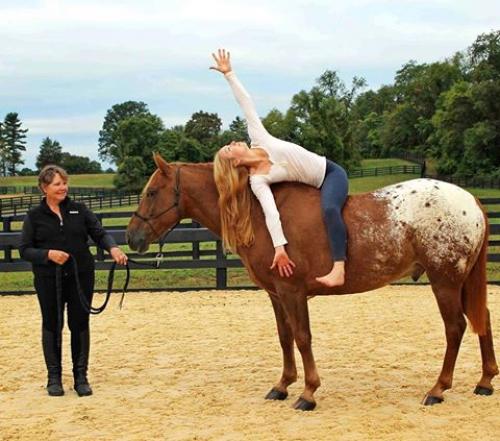 Йога верхом: что получается, когда соединяется страсть к йоге и лошадям. 07