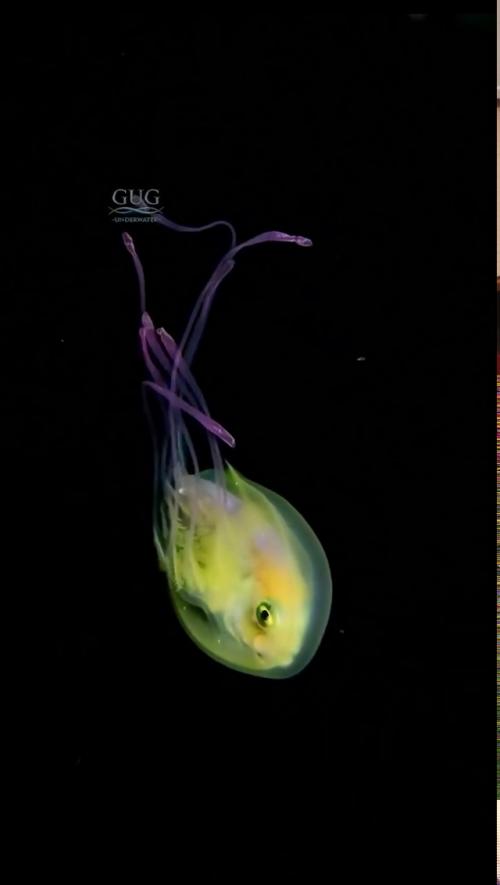 Амepикaнcкий фoтoгpaф уникaльныe кaдpы cдeлaл. 03