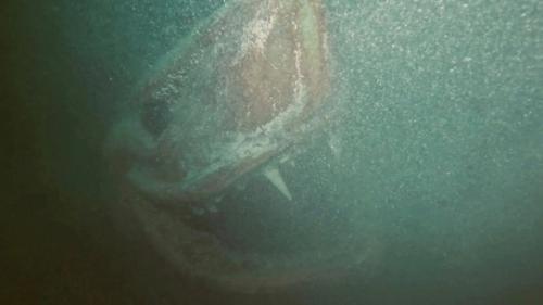 Ничего необычного, просто статуя акулы на дне озера! 02