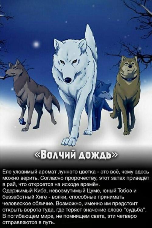 Аниме - важнейший пласт культуры! 07