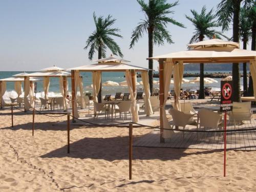 Варна: город киви и золота. 03