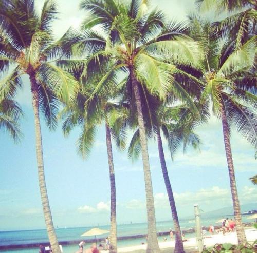 Внимание!  Только в том случае, если и есть на свете такая штука, как абсолютное счастье, то это ощущение, что ты - в правильном месте. 02