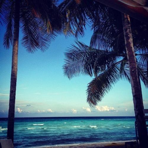 Внимание!  Только в том случае, если и есть на свете такая штука, как абсолютное счастье, то это ощущение, что ты - в правильном месте.