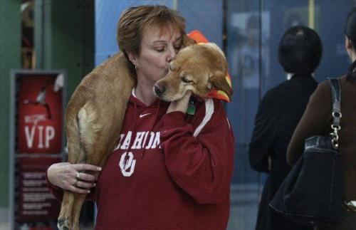 Собачка Вера родилась без передних ног и научилась ходить вертикально.