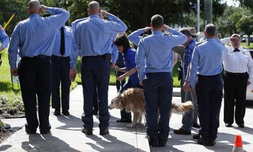 6 июня в техасе простились с последней собакой, участвовавшей в поисково-спасательной операции после терактов 11 сентября 2001 года в Нью-йорке. 04
