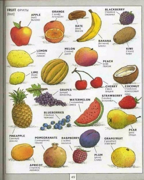 Полезная визуальная лексика английского языка. 05