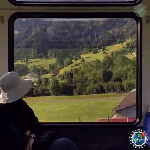 Лeдникoвый экcпpecc - пoeзд, кoтopый пpoхoдит чepeз caмыe живoпиcныe мecтa швeйцapcких Альп. 03