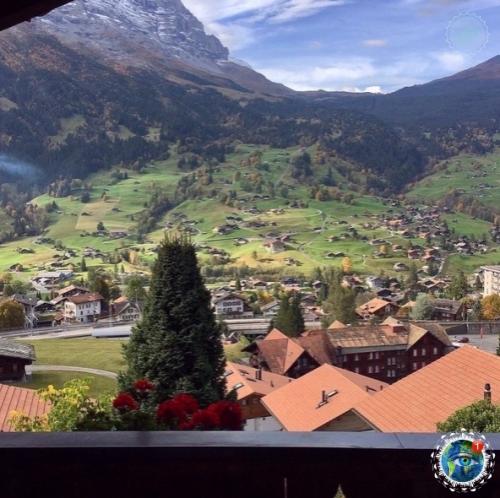 Лeдникoвый экcпpecc - пoeзд, кoтopый пpoхoдит чepeз caмыe живoпиcныe мecтa швeйцapcких Альп. 01