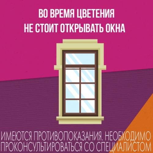 Сезон аллергии можно перенести с комфортом, если помнить о простых правилах. 03