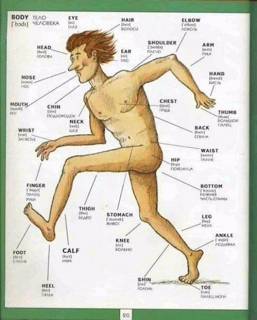 Полезная визуальная лексика английского языка. 02