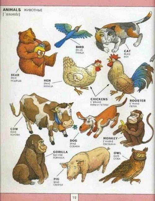 Полезная визуальная лексика английского языка. 09