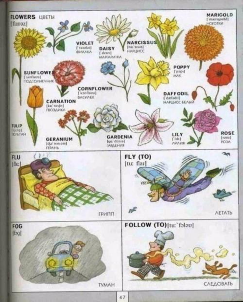 Полезная визуальная лексика английского языка. 08