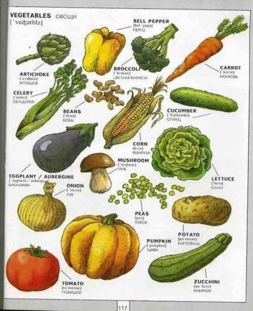 Полезная визуальная лексика английского языка. 04