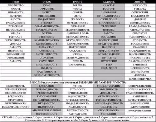 Мы определяем свои чувства.