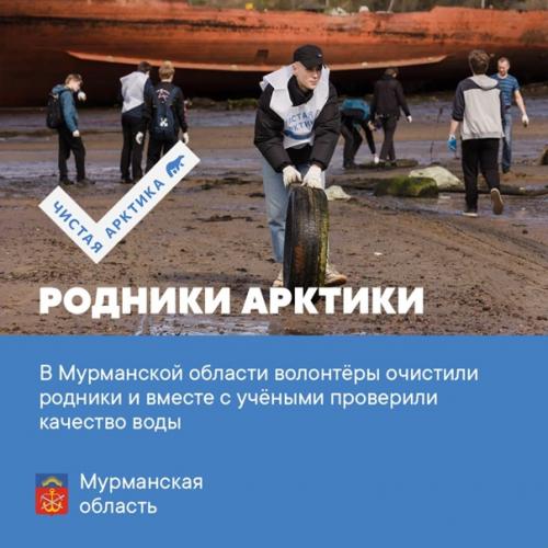 Добровольцы проекта Чистая Арктика собрали десятки тонн отходов в Карелии, архангельской и мурманской областях. 03