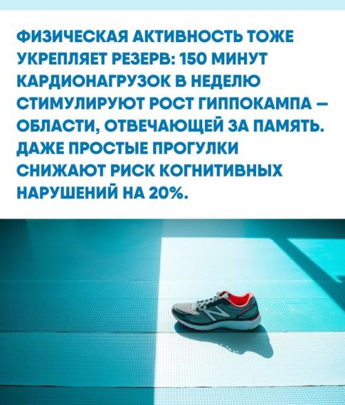 Чем чаще вы используете мозг, тем больше у него возможностей адаптироваться. 02