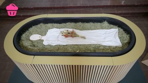 Технология Reerdigung получила официальное одобрение в немецкой земле шлезвиг - гольштейн. 02