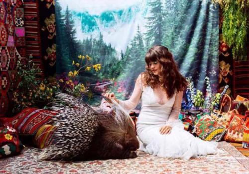 Животные, спасенные от браконьеров. 08