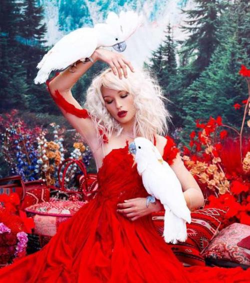 Животные, спасенные от браконьеров. 06