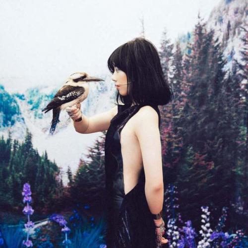 Животные, спасенные от браконьеров. 09