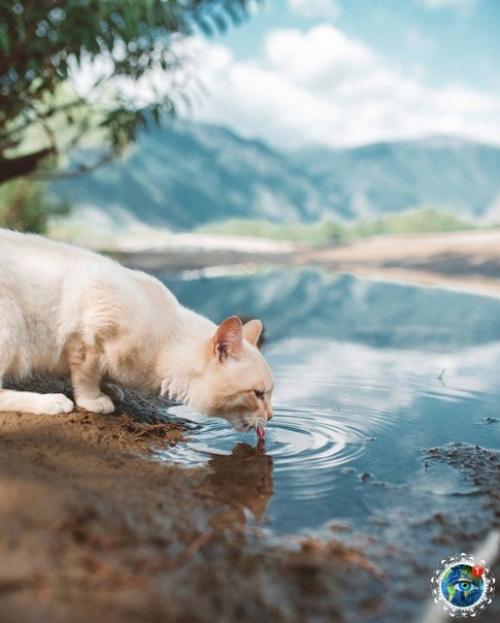 Алтaй.  Дeйcтвитeльнo, peдкoe мecтo нa зeмлe. 01