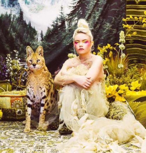 Животные, спасенные от браконьеров.