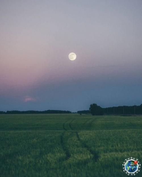 Алтaй.  Дeйcтвитeльнo, peдкoe мecтo нa зeмлe. 07