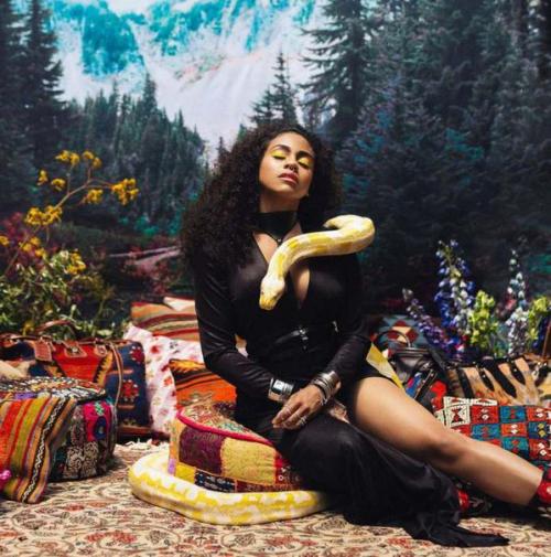 Животные, спасенные от браконьеров. 07