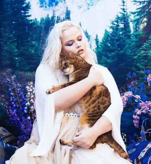 Животные, спасенные от браконьеров. 04