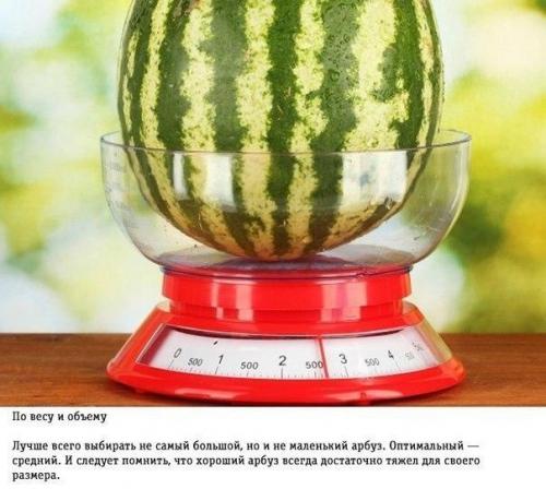 Потихоньку наступает время арбузов. 03